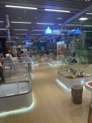 -小象动悟公园(龙湖亦庄天街店)