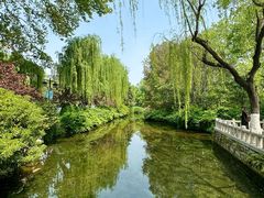 -趵突泉景区