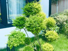 -虎哥私房菜(馒头山店)