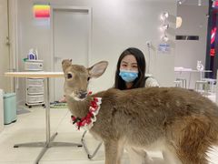 -怪兽屋·羊驼·猫咖·狗咖(俊华广场店)