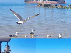 -北戴河碧螺塔海上酒吧公园