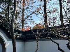 -秋霞圃