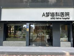 -御宝贝·A梦猫科宠物医院(国际猫友好医院)