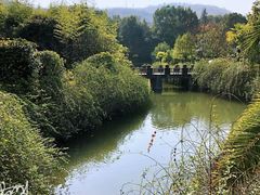 -咸宁万豪温泉谷度假区