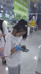 -神奇动物撸宠馆·羊驼·小浣熊·异宠(豫园店)