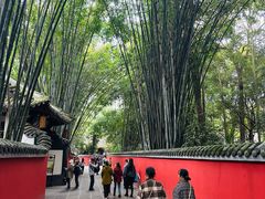 -陈麻婆豆腐(旗舰店)