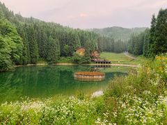 -武陵山森林公园