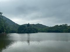 -深圳仙湖植物园