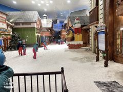 -长沙湘江冰雪世界