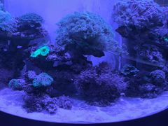 -上和臻品中国菜(花园街店)