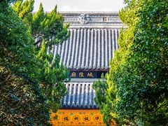 -秋霞圃