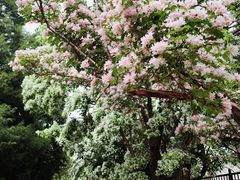 -国家植物园南园