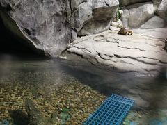 -苏州海洋馆