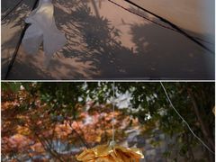 -苏州本色美术馆