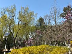 -济南国际园博园