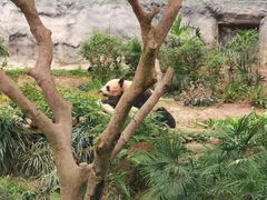 -石排湾郊野公园