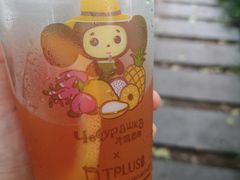 -TPLUS茶家(浦电路店)