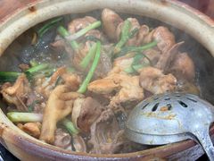 -华仔土鸡店(南洲分店)