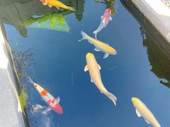 -西安市广仁寺