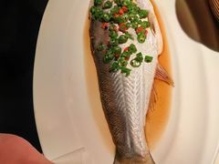 -绿茶餐厅(领展购物广场·中关村店)