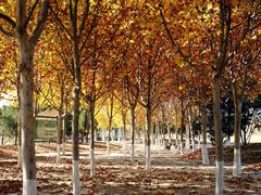 -济南国际园博园