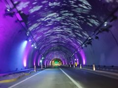 -牛背梁国家森林公园