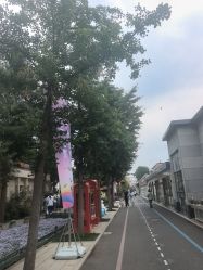 -爱儿美儿童摄影(五路居花园别墅店)
