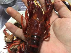 -指爱龙虾(金杨路总店)