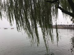 -家烧面馆【南山路知名经典面食】