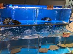 水产区-龙记·香港茶餐厅(海上世界店)