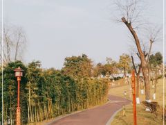 -眉山湿地公园(东坡区)