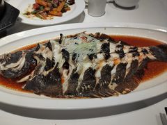 -金春禧(英雄山路旗舰店)