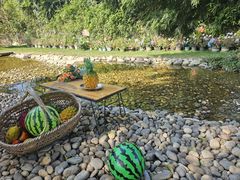 -HERRE·FARM 赫尔露营农场·团建聚会包场