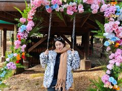 -洛阳白云山景区