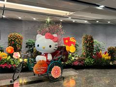 -樟宜机场免税店