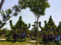 -武汉紫薇都市田园