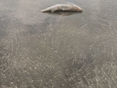 -浪琴湾度假村