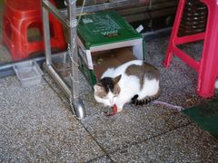 -广场正宗原汁薏米店