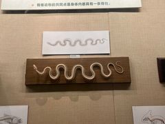 -广东省博物馆