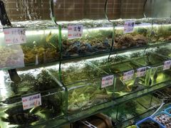 水产区-覃记海鲜美食餐厅