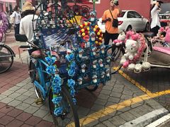 -荷兰红屋