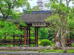 -江心屿景区