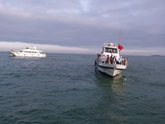 -日照世帆赛基地