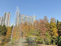 -广州珠江公园
