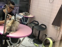 -FAELING PETS美天灵宠物(富力广场店)