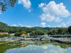 -红山村