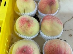 -老袁家蜜桃农场·阳山水蜜桃