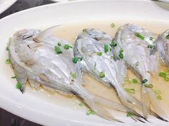 -昌正春天酒店-海鲜餐厅