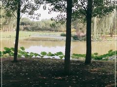 -东郊湿地公园
