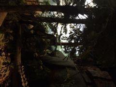 iphone_upload_pic-浙江省科技馆